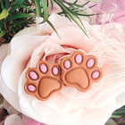 The Paw Print by the Door